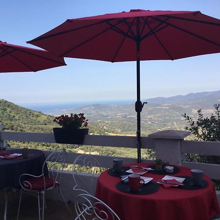 U Riposu Di A Cupulatta Bed & Breakfast Sollacaro Exterior photo